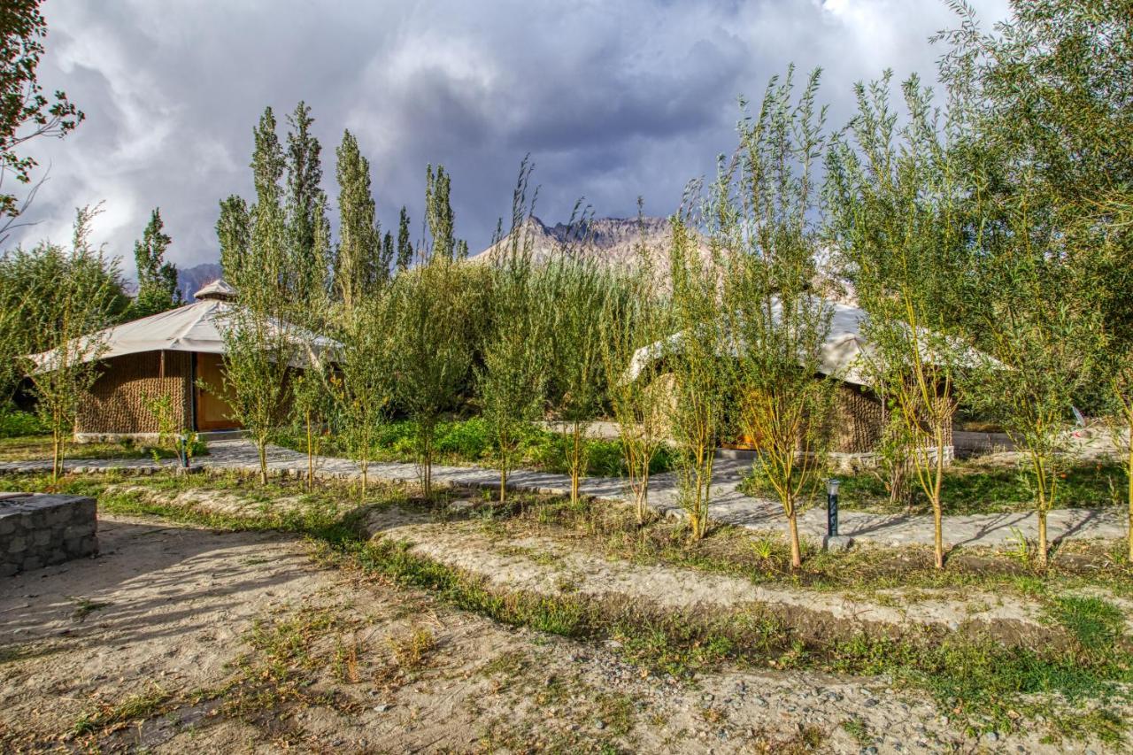 Chalet Seabuckthorn - Hunder Hundar Exterior foto